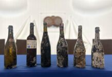 Los vinos de la Axarquía se sumergen en un innovador estudio de la UMA