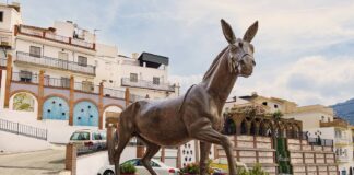 Feria de la Mula de Arenas 2026: Programa de actividades y horarios Feria de la Mula de Arenas 2026