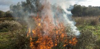 Hoguera de restos vegetales en un campo, ejemplo de quema de restos agrícolas en Nerja